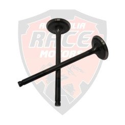 Exhaust Valve RC 200