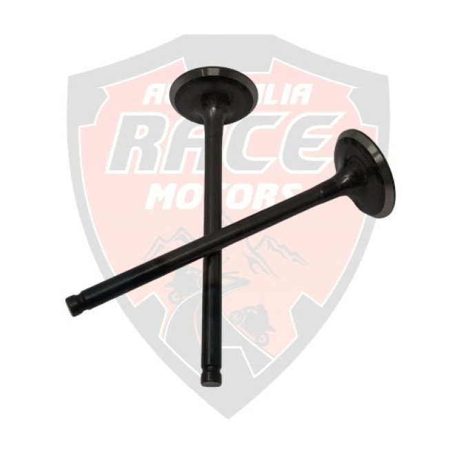 Exhaust Valve RC 200