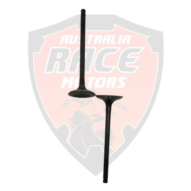 Exhaust Valve RC 200