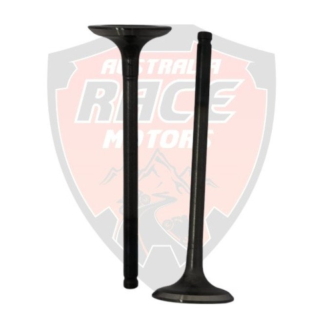 Exhaust Valve RC 200