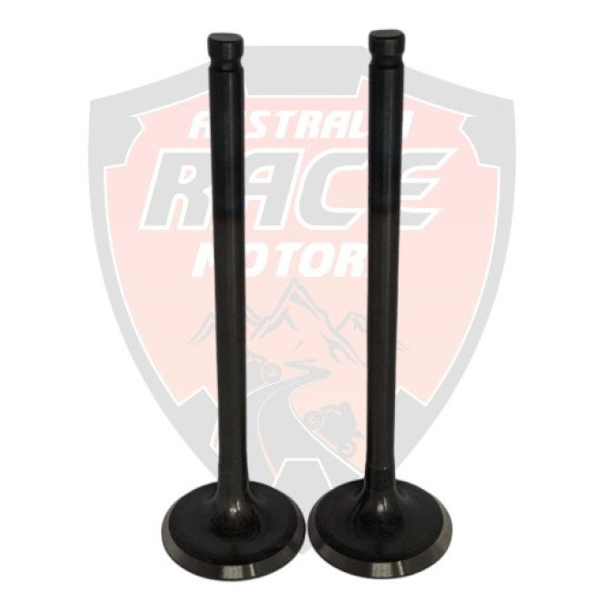 Exhaust Valve RC 200