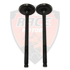 Exhaust Valve RC 200