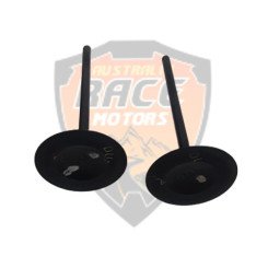 Valve Intake Duke 125, 390 & RC 390