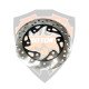 Rear Brake Disc OR Brake Disc Rear